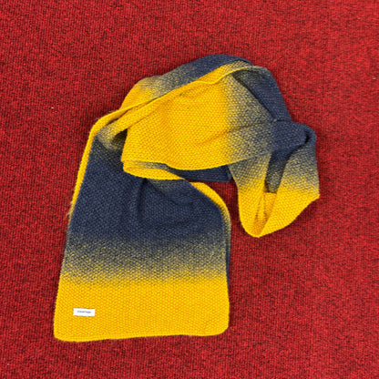 Sciarpa Degradé in Lana Vergine